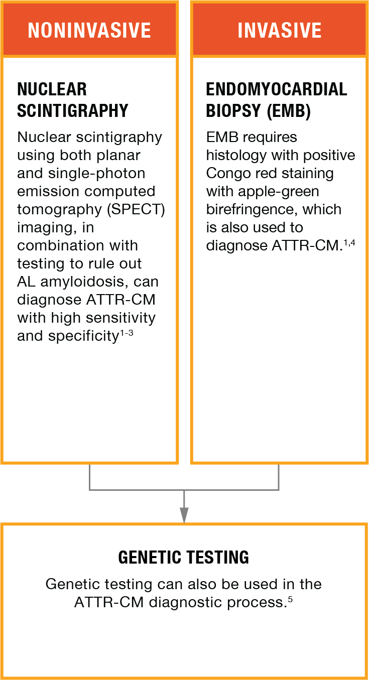 chart_Mobile